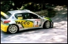 Alexandre Bengue Peugeot 206 WRC David Pelejero