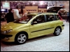 Peugeot 206 SW Margo Jõgi