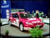 Peugeot 206 WRC Margo Jõgi