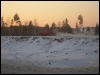  rivo vähi