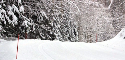  Foto: vaakunaralli.fi