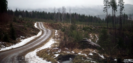 Kesised talveolud olid Rootsi rallil ka nelja aasta eest. Foto: Jaanus Ree / Red Bull CP