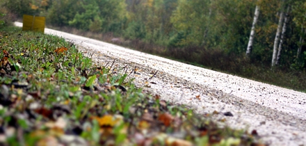 Metsateedele harrastajaid tuleval aastal võistlema ei lubata. Foto: Rando Aav