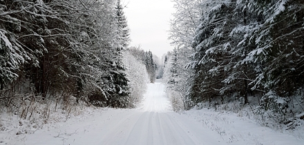 Otepää rallisprindi võistlustrass kulgeb jäistel ja lumistel teedel. Foto: Marko Koosa