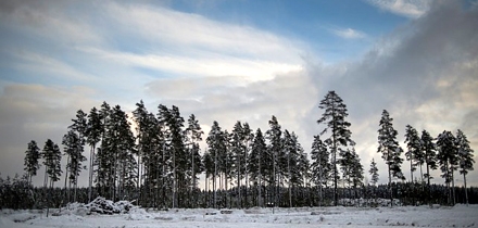  Foto: rallysweden.com